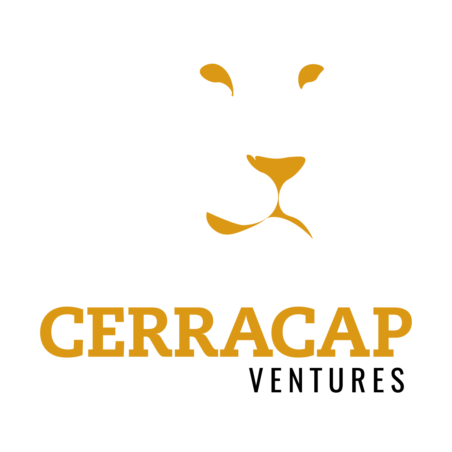 CERRACAP Ventures